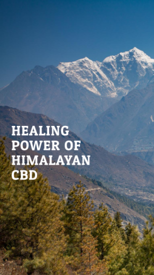 Himalayan CBD